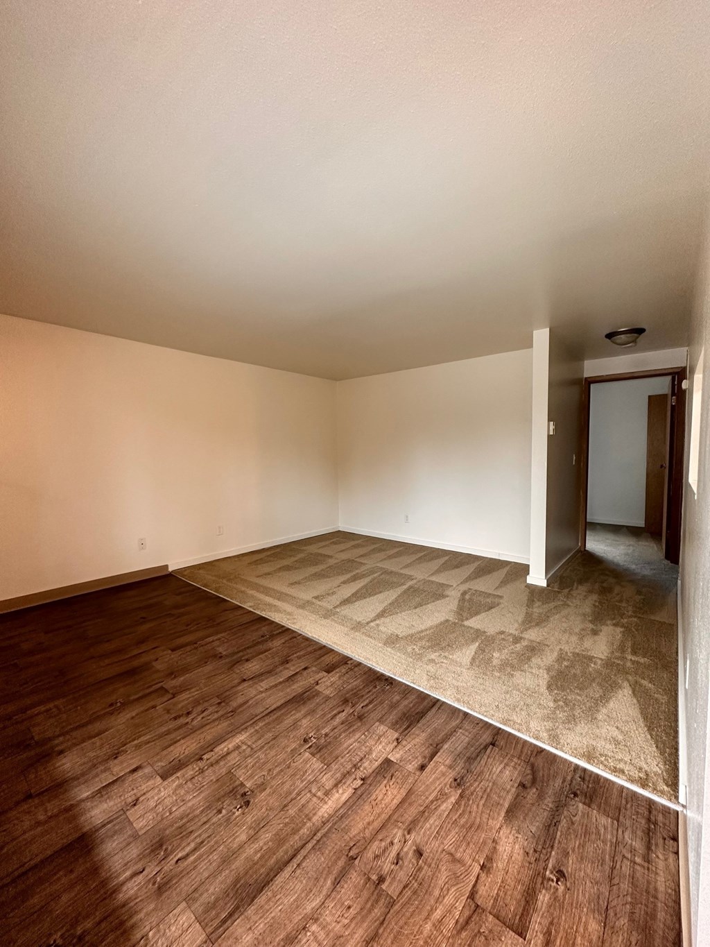 A room with wooden flooring and a carpeted area near a door.