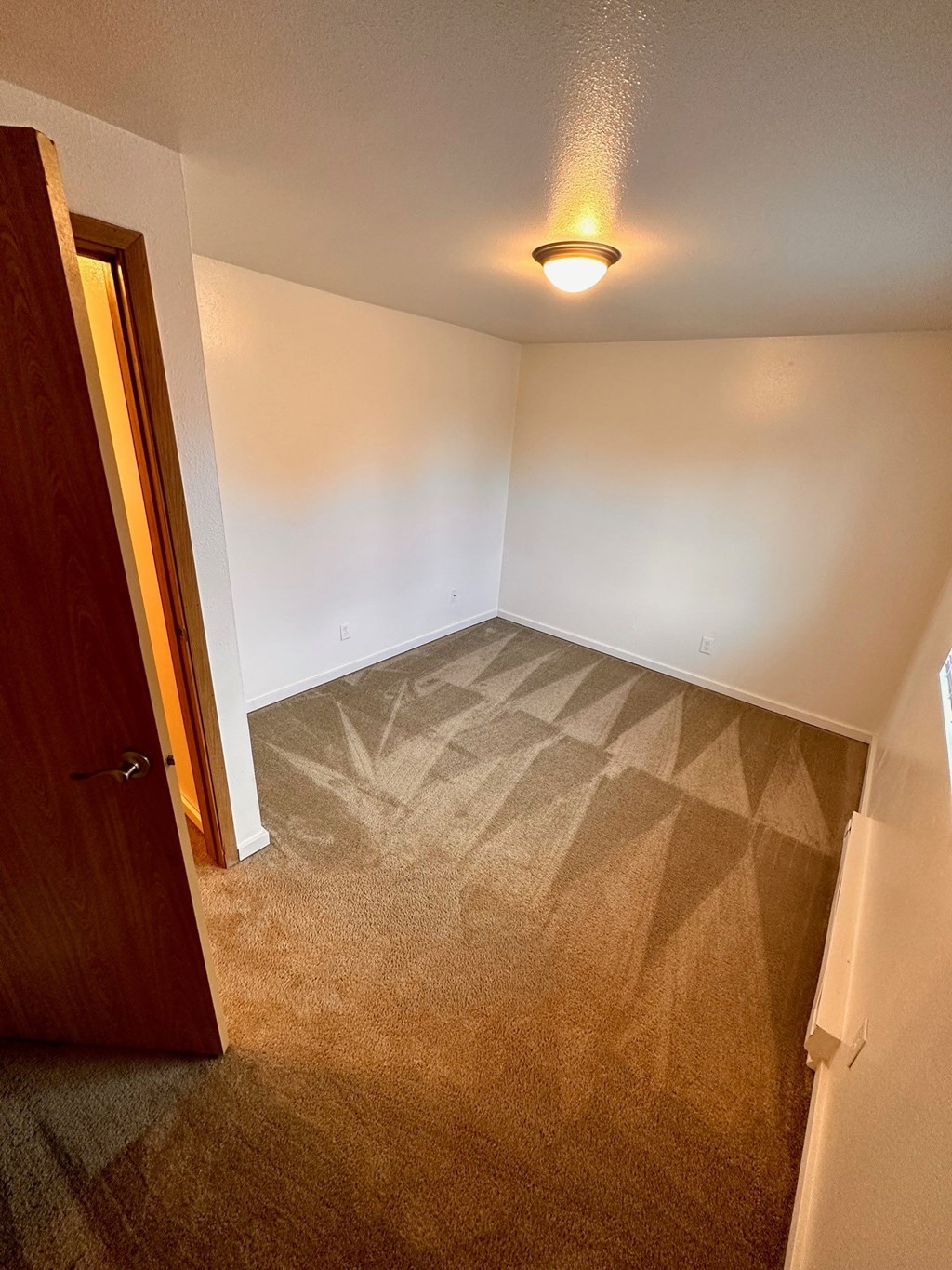 A room with a carpet and a light on the ceiling.