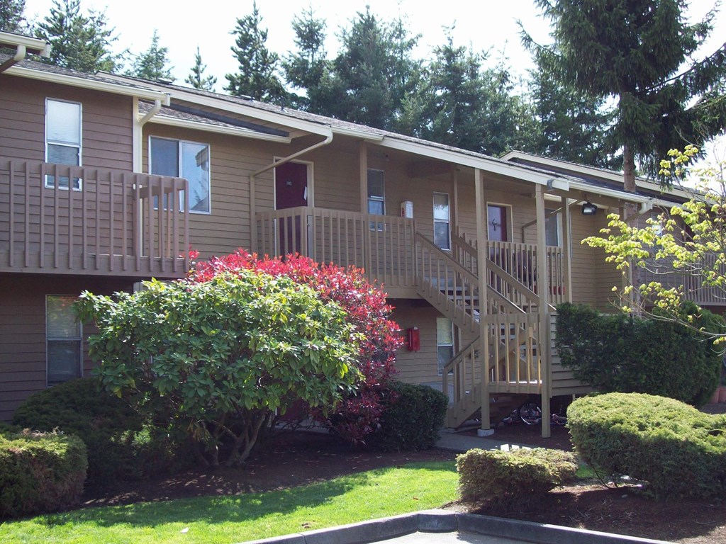 A small tree with red flowers is in front of a building.