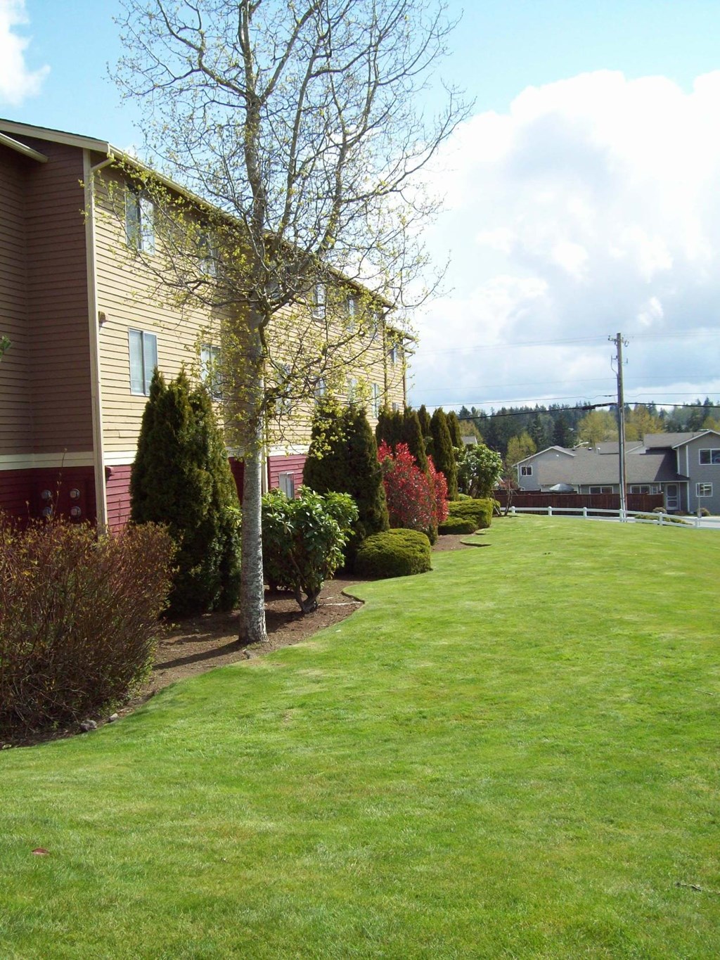 A grassy area in front of a building with a tree in the middle.