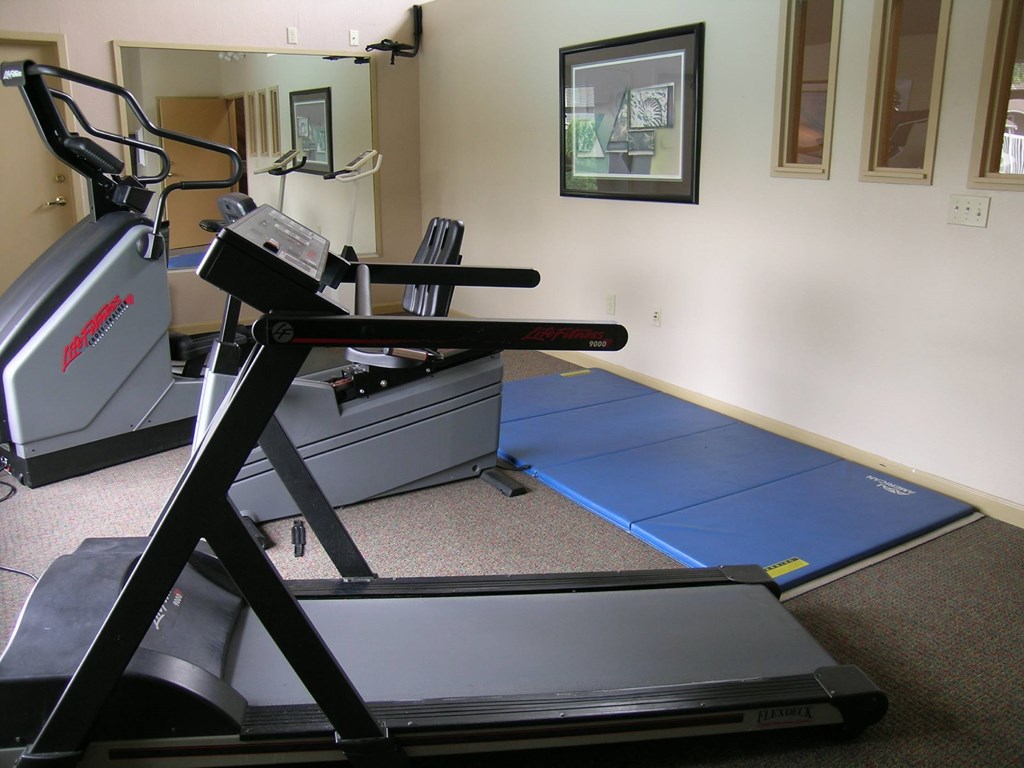 A treadmill and a stationary bike are in a room with a picture on the wall.