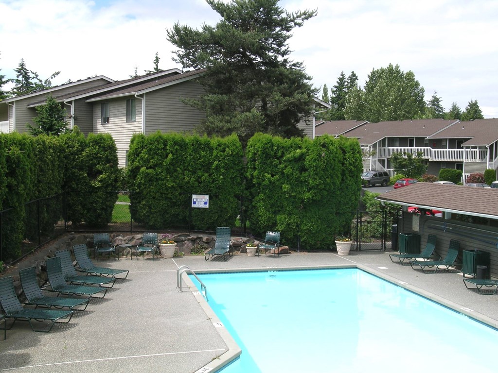 A swimming pool surrounded by lawn chairs and trees.