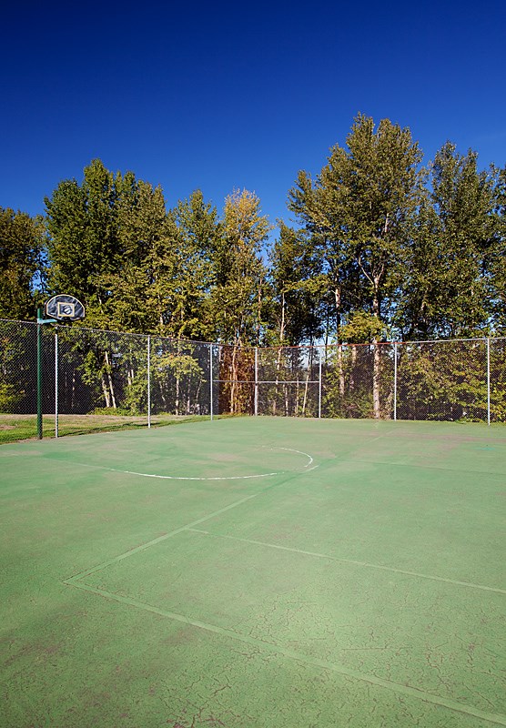 A tennis court surrounded by trees and a fence.