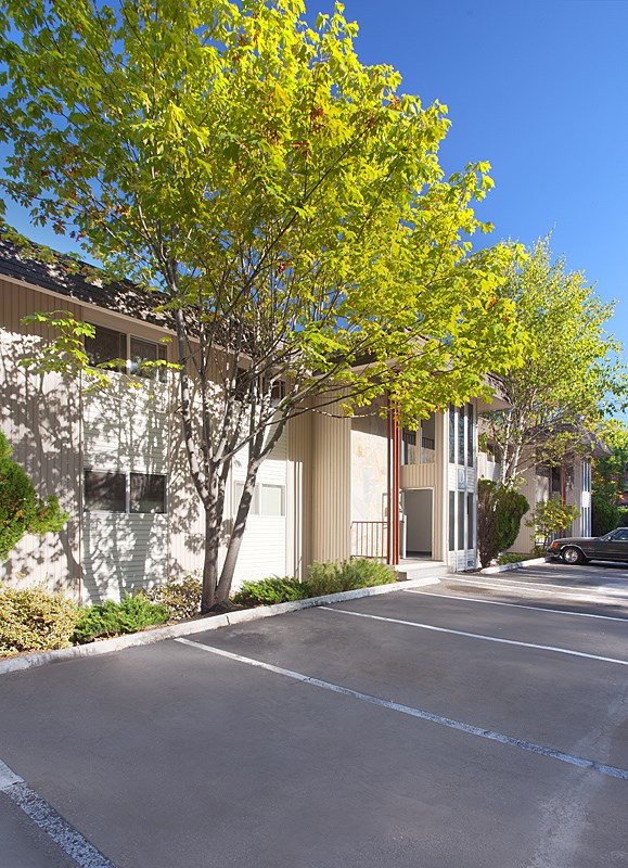 A tree with yellow leaves is in front of a building.