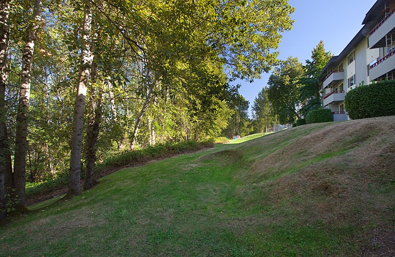 A grassy hill with trees and a building in the background.