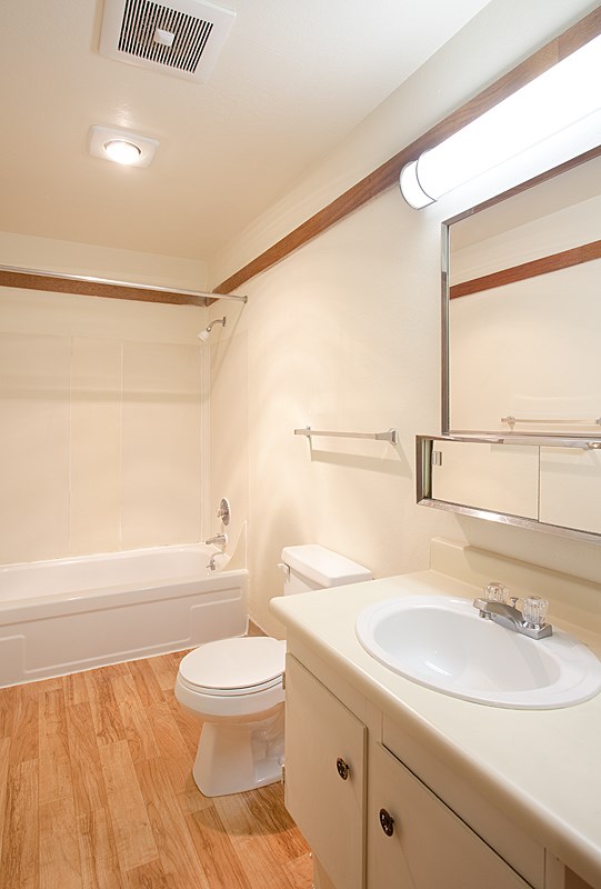 A white toilet sits next to a sink in a bathroom.