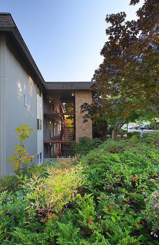 A house with a grey exterior and a balcony surrounded by greenery.