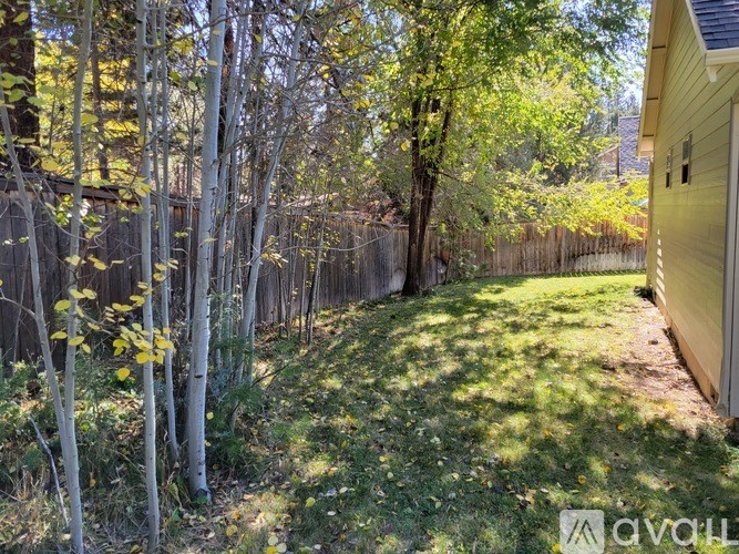 A backyard with a wooden fence and trees.