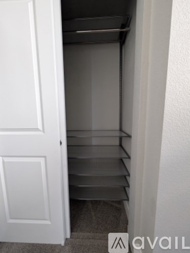A white door is open to a small pantry with shelves.