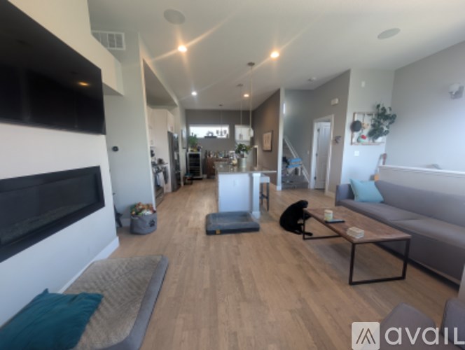 A living room with a couch, a coffee table, and a dog.