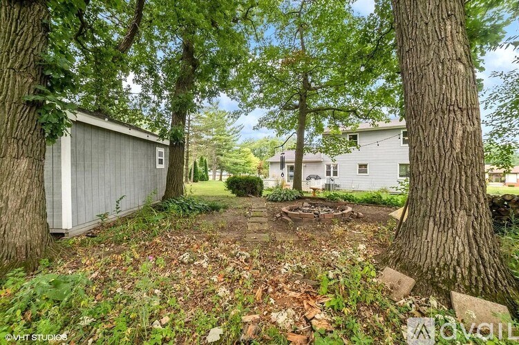 A backyard with a shed and a tree in the foreground.