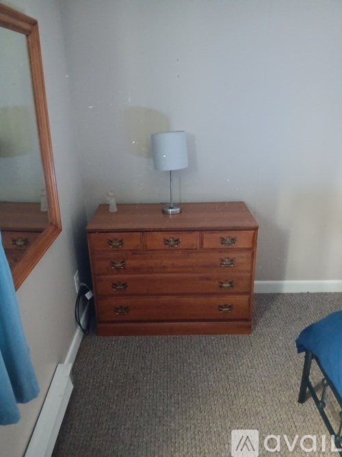A wooden chest of drawers with a lamp on top is in a room with a grey carpet.