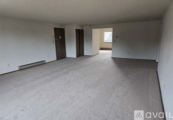 A spacious room with carpeted floor and two doors.