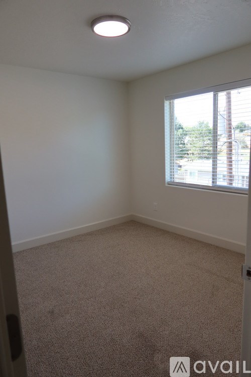A room with a carpeted floor and a window.