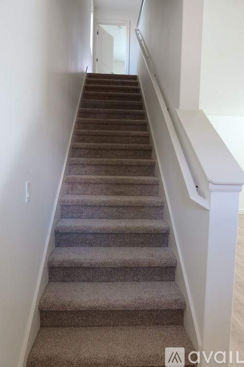 A staircase with a beige carpeted runner and white walls.