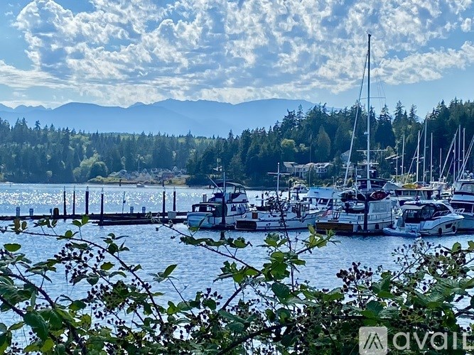 A marina with boats docked and a backdrop of trees and mountains.