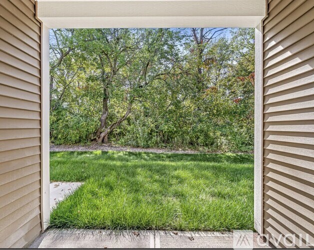 A view of a green lawn through a window.