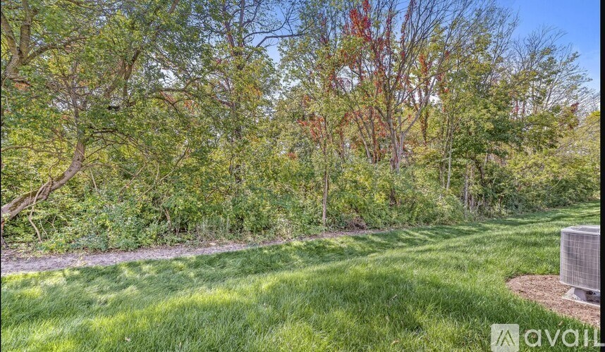 A backyard with a lawn and trees.