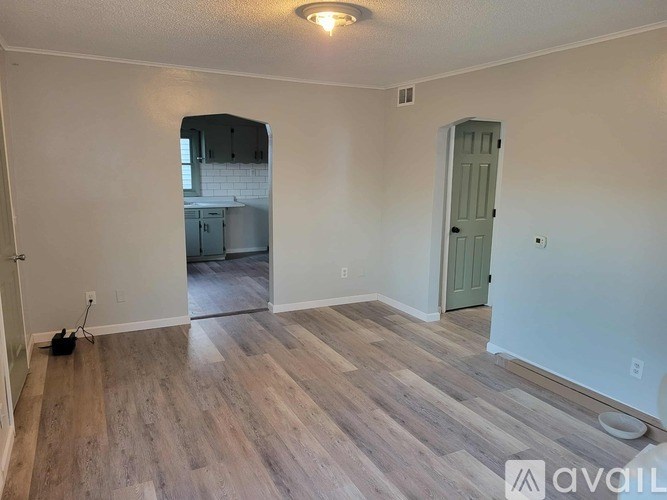 A room with wooden flooring and a green door.
