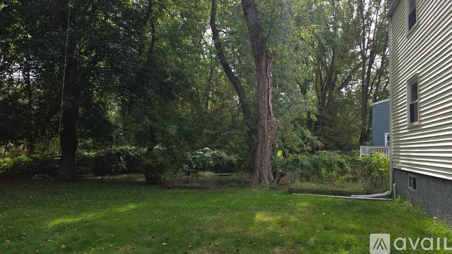 A backyard with a tree and a house.