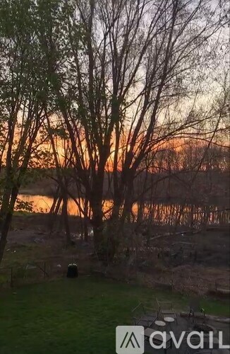 A sunset view with trees and a grassy area.