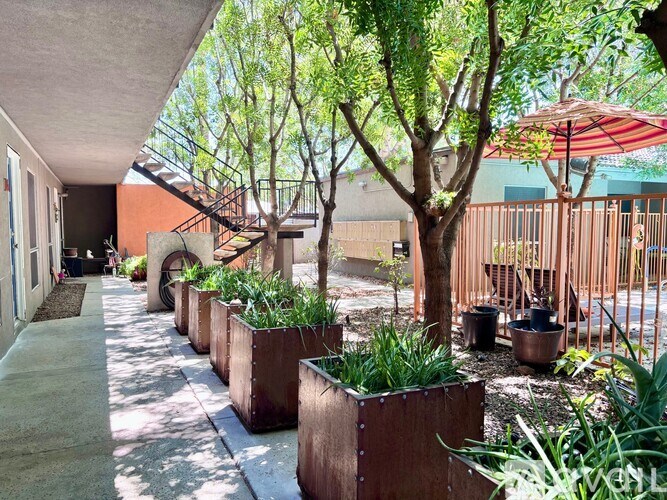A row of trees in wooden planters line a walkway.