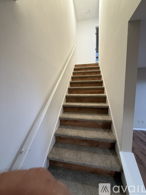 A staircase with wooden steps and a carpeted runner.