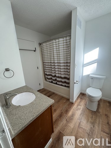 A bathroom with a toilet, sink, and shower curtain.