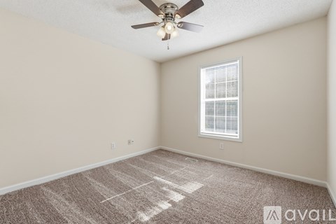 A forest with a small stream running through it.