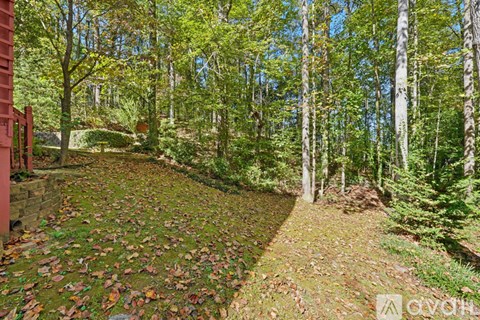 A forest with a path covered in leaves.