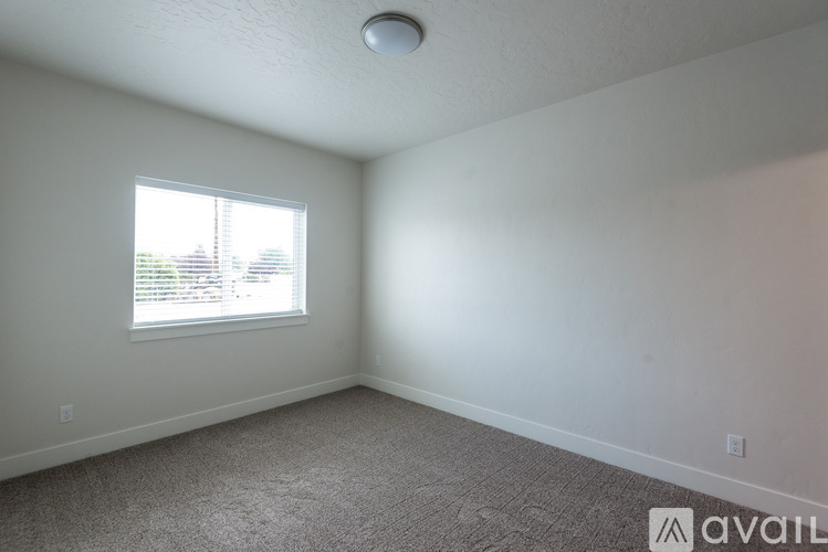 A room with a carpeted floor and a window letting in light.