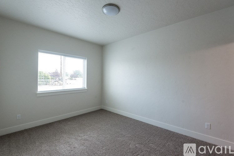 A room with a carpeted floor and a window letting in light.