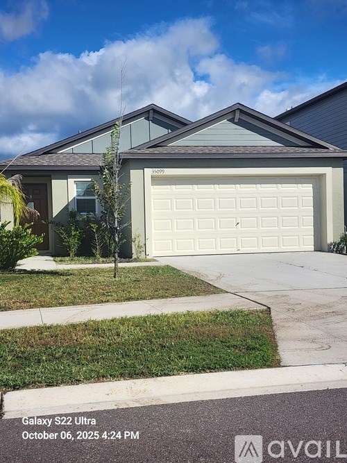 A modern house with a large garage door and a tree in front.