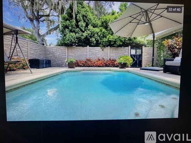 A pool surrounded by a wall and plants with a white umbrella.