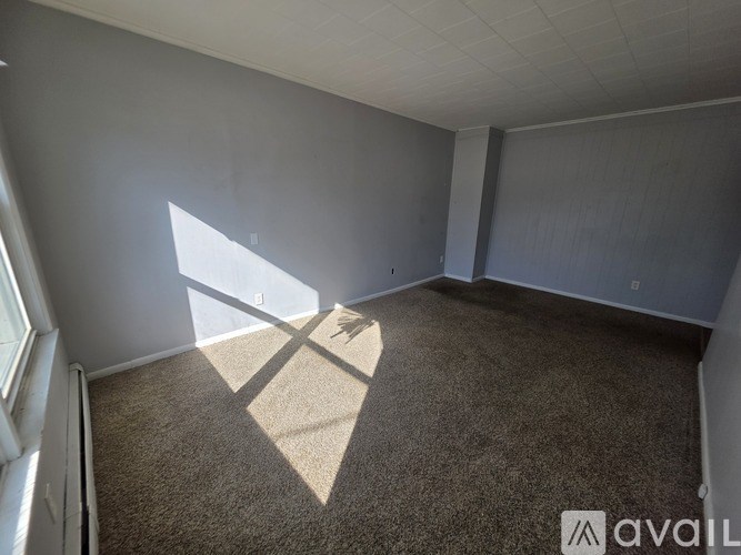 A carpeted room with sunlight streaming in through a window.