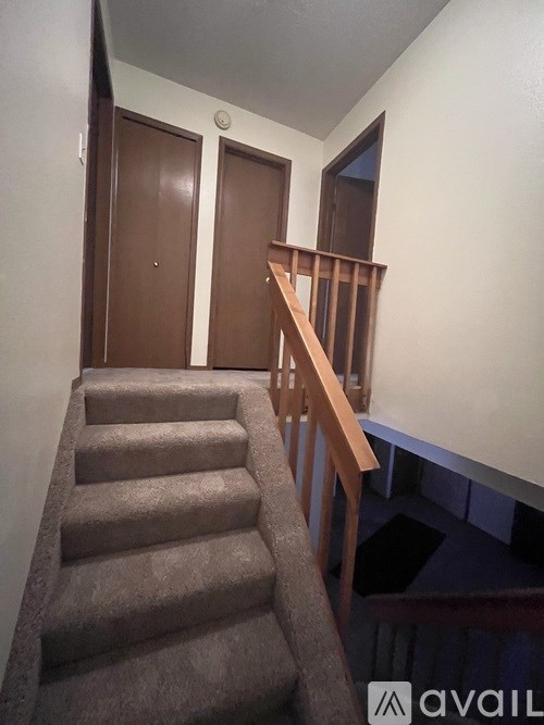 A staircase with a carpeted runner and wooden handrails.