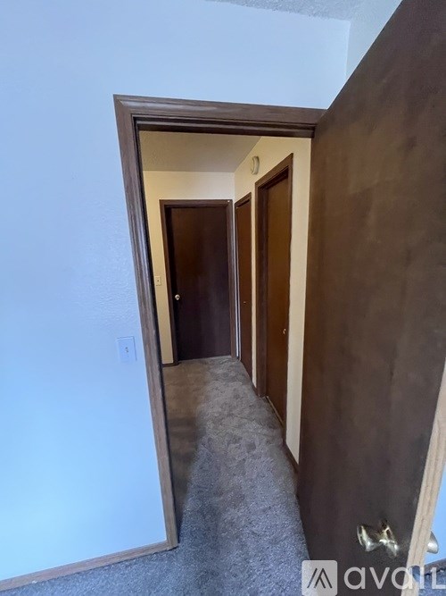 A hallway with a carpeted floor and a brown door.