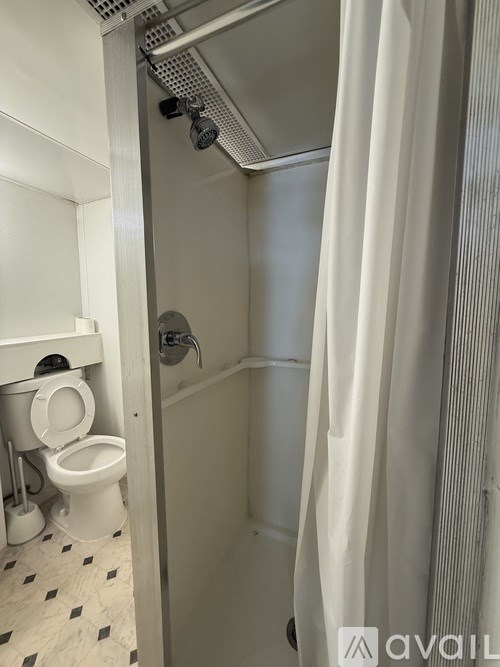 A bathroom with a toilet, a shower, and a white curtain.