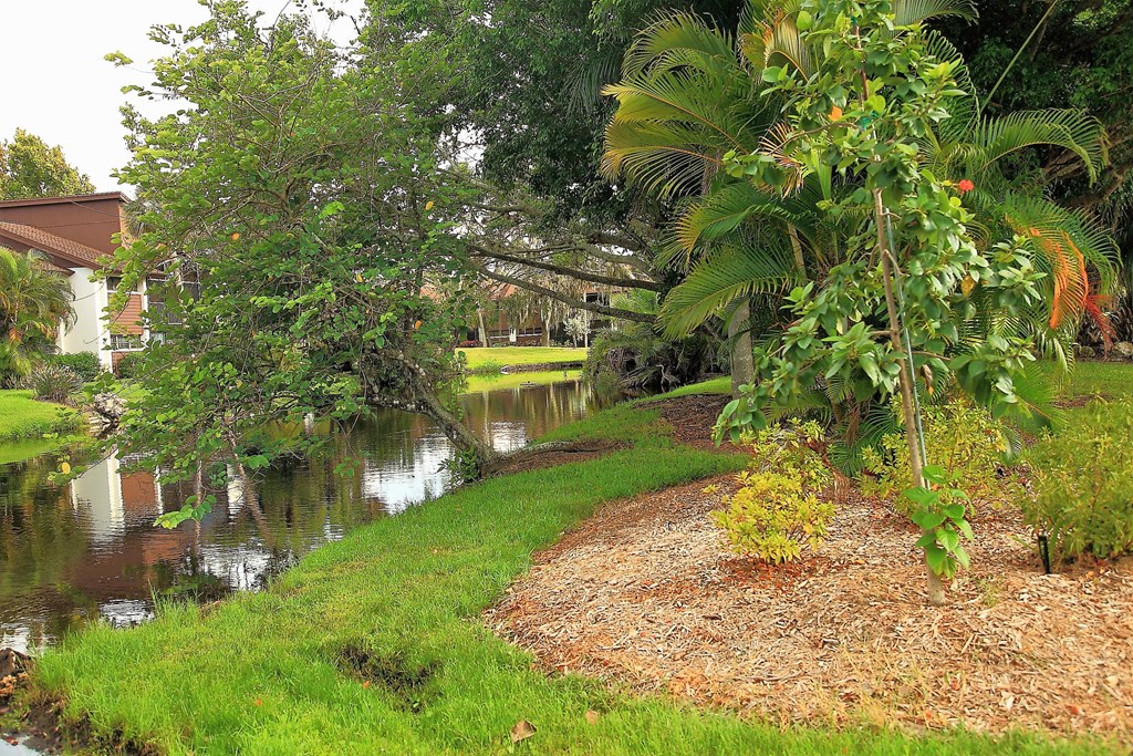 A garden with a pond and a tree with orange leaves.