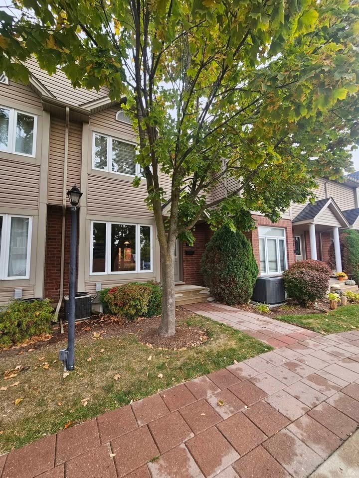 A tree with green leaves is in front of a house.