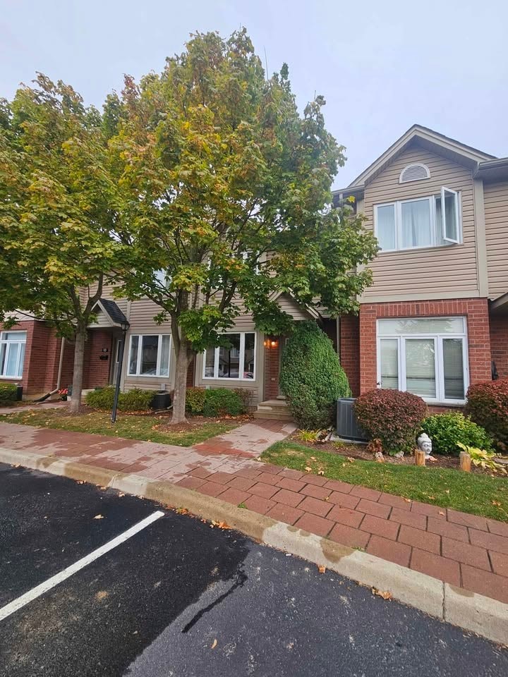 A tree with yellow leaves stands in front of a house.