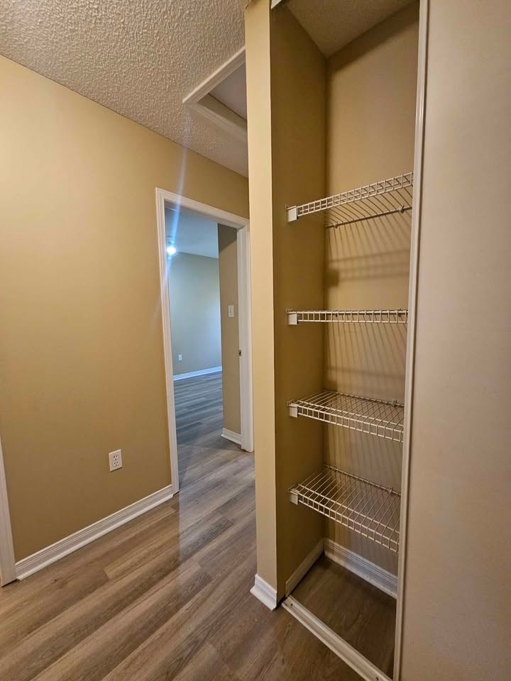 Empty pantry with shelves and a doorway.
