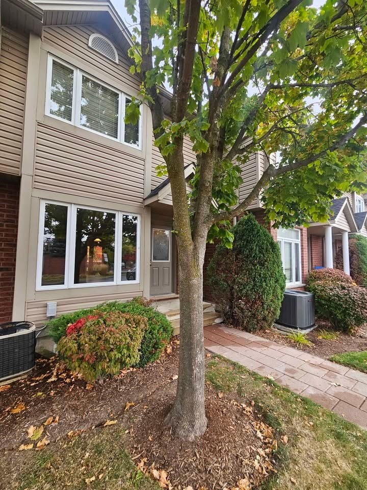 A tree in front of a house with a brick wall and a window.