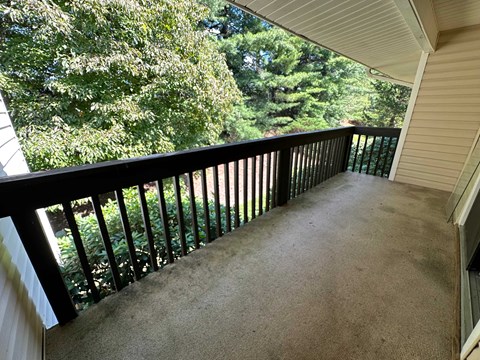 A balcony with a black railing and a carpeted floor.