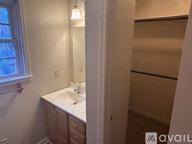 A bathroom with a sink, mirror, and wooden cabinets.