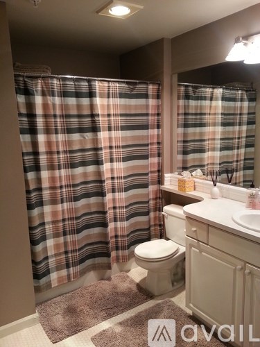 A bathroom with a checkered shower curtain and a white toilet.
