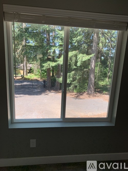 A window with a view of a forest and a dirt road.