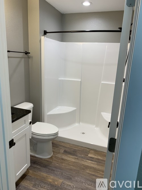 A bathroom with a toilet, a walk-in shower, and a wooden floor.