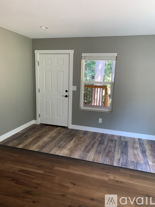 A room with a white door and a window showing a tree outside.