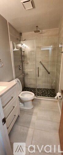 A bathroom with a walk-in shower and a toilet.